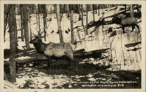ELK - Zima na rezervaciji državne igre Ostale životinje Wisconsin WI Originalna antička razglednica
