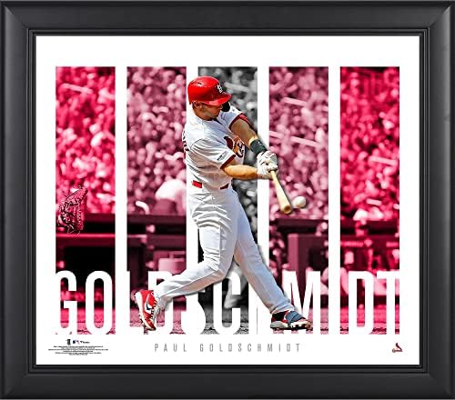 Paul Goldschmidt St. Louis Cardinals uokviren 15 x 17 kolage igrača - plaketi MLB igrača i kolaže