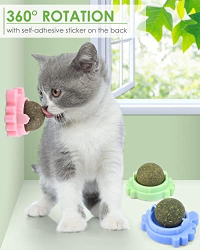 Kuglice od mačaka i Silvervine žvakaće štapiće, 6 pakiranja prirodnih igračaka za mačiće za čišćenje zuba, matatabi zubna