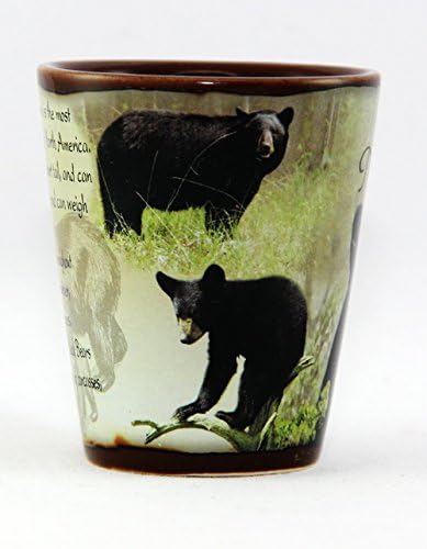 Njujorška čaša s medvjedom u punom paketu