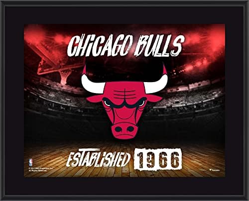 Chicago Bulls 10,5 x 13 sublimirani horizontalni tim logotip plakete - NBA timski plakovi i kolaže