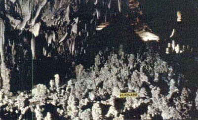 Nacionalni park Carlsbad Caverns, razglednica New Mexico