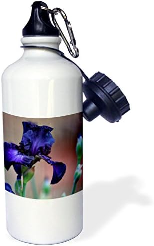 3Drose Royalty je bogata duboka ljubičasta vrtna iris-cvjetna boca s vodom, 21oz, 21 oz, raznoboja