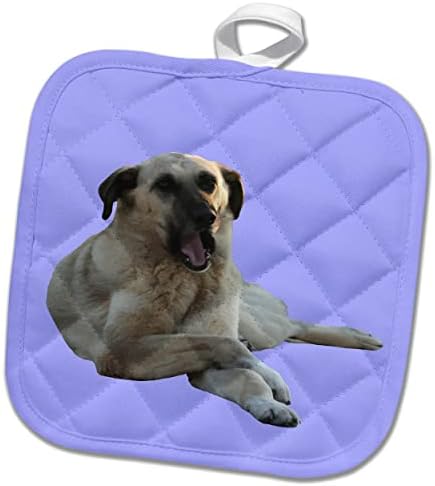 3Drose Kangal Dog Yawning Vector izrezan - Vlasnici