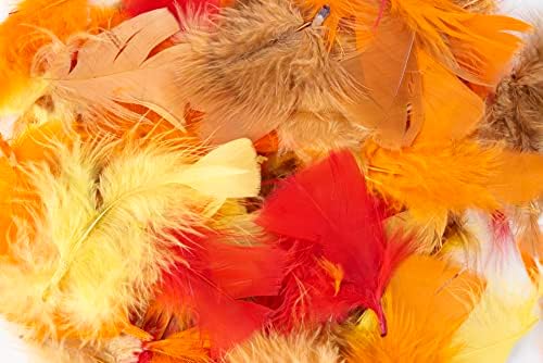 Perje za kreativnost Charlesa Leonarda, Turska, jesenske boje, 14 grama/vrećica