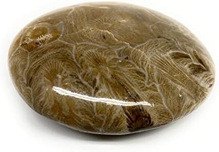 124.1g, 2.6 x2.1 x1 koraljni fosili oblik galeta palminog kamena poliran @morocco, reiki energetski kristal, metafizički,